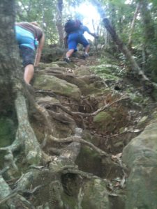 Boroishiyama Trek Miyazaki Japan guided hike group enjoying ladders and ropes 