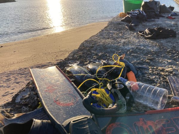 イシダイ宮崎内海