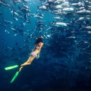 Free diving experience