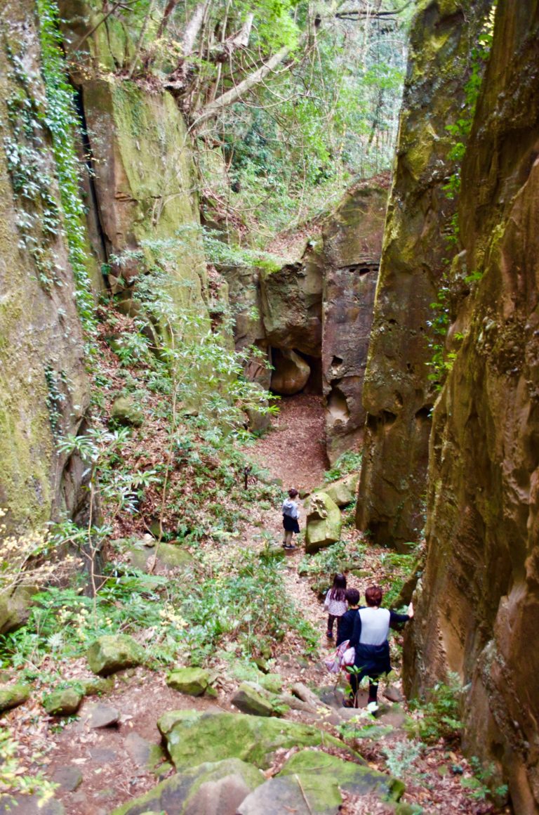 a steep lush green cliff that poeple can walk into