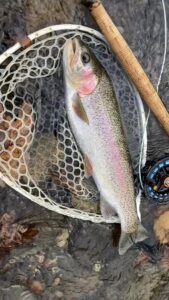 Trout fishing tour miyazaki