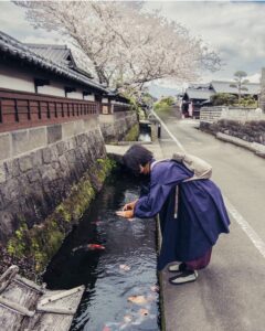 Monkey Island, Cape Toi Wild Horses, Obi Castle & Udo Jingu Tour 8 Obi Castle lady photographing street koi